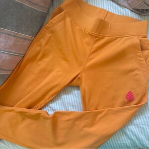 Stio women’s Fremont stretch pants small